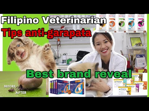 GAMOT PAMATAY GARAPATA || TICKS and FLEAS PREVENTION FOR DOGS || DR. MJ