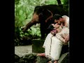 Sandakoli Song WhatsApp Status
