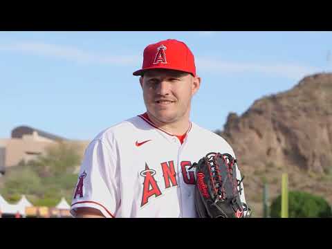 Rawlings Custom Heart of the Hide Glove