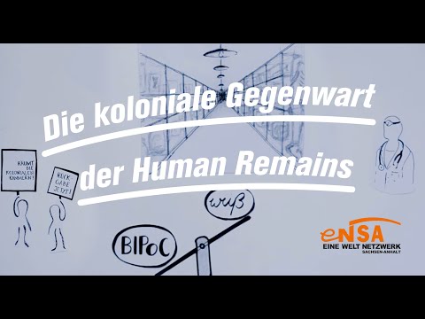 Die koloniale Gegenwart der Human Remains. Eine Welt - kurz erklärt!