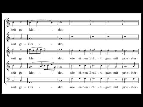 Schein: Ich freue mich im Herren - Herreweghe