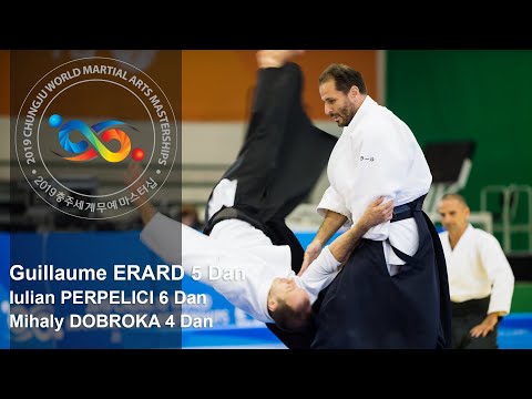 Demonstration of Experts in Aikido - Guillaume Erard at World Martial Arts Masterships in Korea
