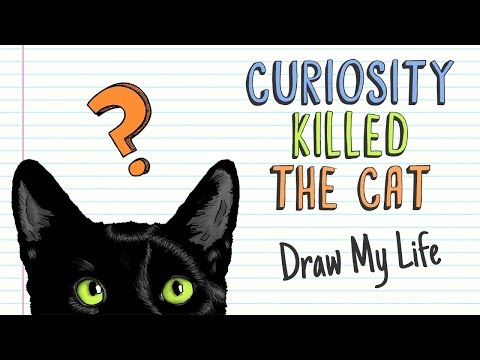 CURIOSITY KILLED THE CAT | Draw My Life