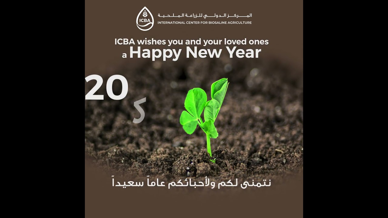 Happy New year 2026