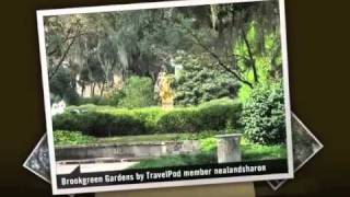 preview picture of video 'Brookgreen Gardens - Murrells Inlet, Coastal South Carolina, South Carolina, United States'