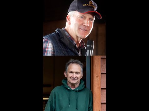 Governor launches Alaska Senate race investigation