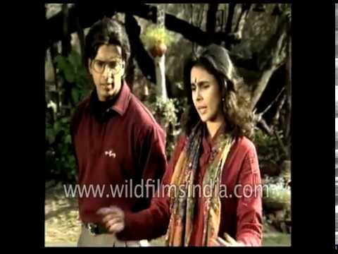 download lagu mp3 mp4 Kash M Kash, download mp3 Kash M Kash free download mp3, download mp3 Kash M Kash