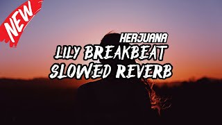 Download lagu DJ LILY BREAKBEAT SLOWED REVERB TERBARU 2024 mp3