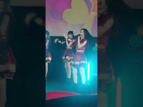 Daisy Daisy - Kookkik Focus