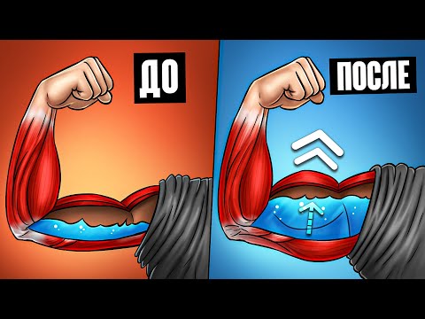 WHAT DOES TAKING CREATINE DO TO YOUR BODY?