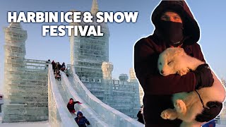 The Harbin 哈尔滨 Snow and Ice Festival 2019