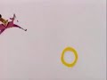 Sesame Street Soul O