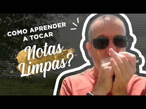 Notas limpas na Gaita