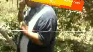 Los tigres del norte  historia de ciudad