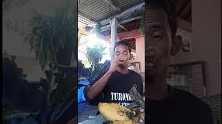 Download lagu Setory wa: wes angel angel tuturamu (kowe tak sayang² sak iki malah ilanig)lucu. mp3 Download lagu Setory wa: wes angel angel tuturamu (kowe tak sayang² sak iki malah ilanig)lucu. mp3