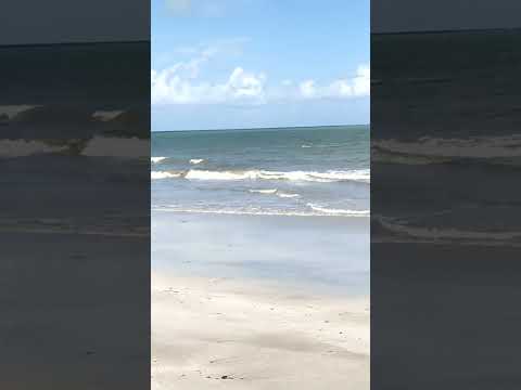PARAÍBA - PRAIA de PITIMBU - Uma Joia escondida no nordeste Brasileiro#shorts#short#shortvideo