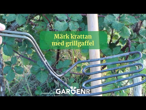 Märk krattan med grillgaffel - Trädgårdshacks med GardenR