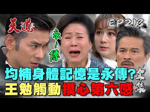 天道 EP213 完整版｜當阿勉來襲用力強抱均楠！喚醒永傳身體記憶心臟怦怦跳？｜FIGHT FOR JUSTICE｜【ivenor十時塑孅果茶】