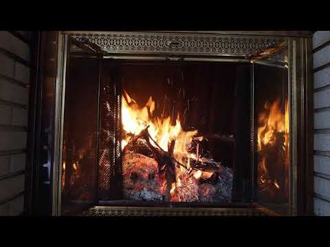 Black Hills Snow Squall