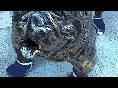 Zeigt her Eure Füße - Kinderlieder für Alle