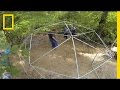Dome of Doom 