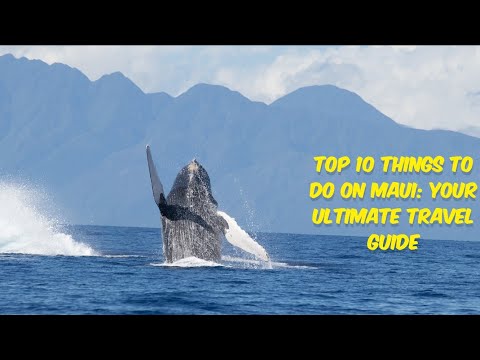 Top 10 Things to Do on Maui: Your Ultimate Travel Guide