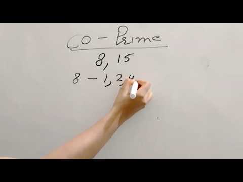 Co -Prime Numbers क्या होते हैं||What is Co-Prime Numbers