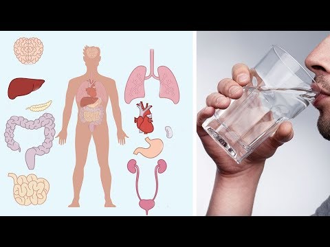 Welche 8 gesundheitlichen Vorteile das Trinken von Wasser hat!