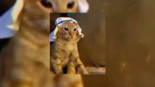 Download lagu playlist maher zain - SpeedUp mp3