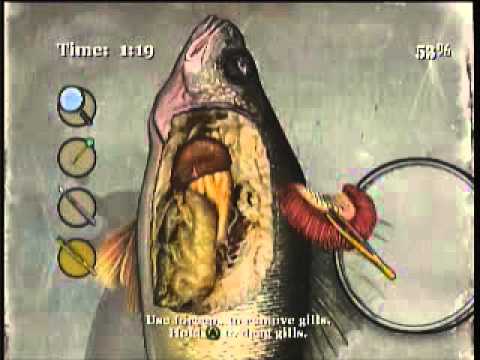 Bully Scholarship Edition Walkthrough Part 32 / Music III and Biology III