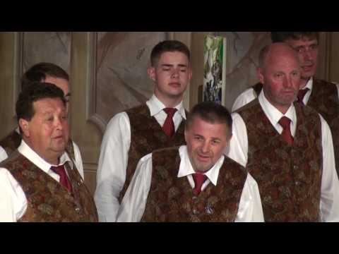 Für mi gib`s ka hamgeahn (Heinz Türk)