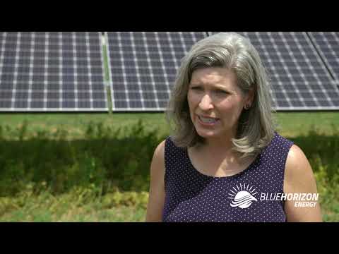 Customer Experience: Dorr Farms