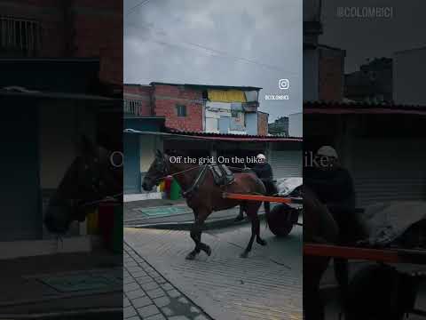 Cycling in Colombia’s Coffee Heartlands 🇨🇴 #cycling #colombia #quindio