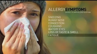 How to avoiding autumn allergies