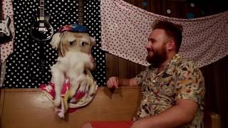 New Video! Cymbals of Love - Alex Kahn