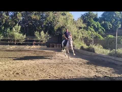 youtube preview