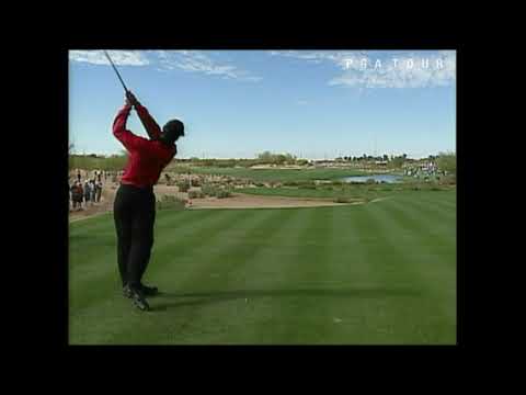 Tiger Has the Biggest Loose Impediment Moved So He Can Make a Stroke - Golf Rules