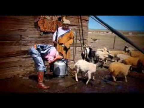 Zahia zoogch - Hoshin Shog