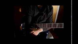 Chelsea Wolfe - Advice & Vices [Bass Cover]