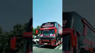 Download lagu Story'wa Bus Pariwisata BAGJA TRANS mp3