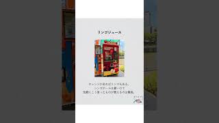 シンガポールにある珍しい自動販売機🇸🇬🍹