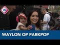 De vrouwen van Waylon op Parkpop - Omroep West