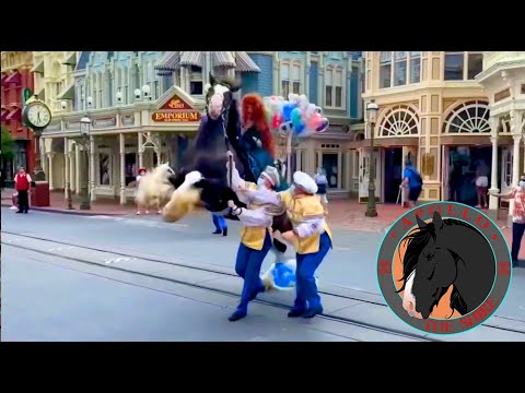 Disaster at Disney World Shire horse Freaks!