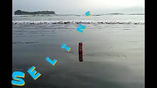 Download lagu Lemon Nipis SELINA mp3