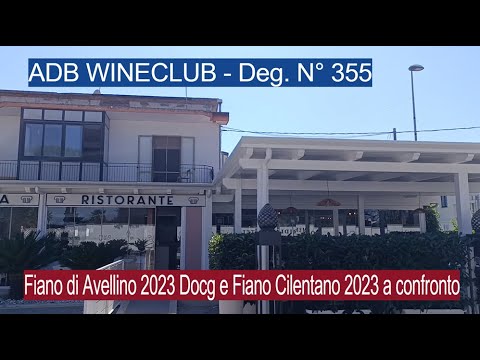 ADB WINECLUB - Deg. N° 355 - Fiano di Avellino 2023 Docg e Fiano cilentano a confronto