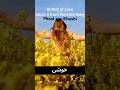 Rhythm Of Love Khushi Ki Leher Shorts P3 From Panchhi Song Bollywood Ytshorts​ Sufi