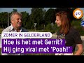 Zomer in Gelderland - Dit zijn de hoogtepunten van Loil
