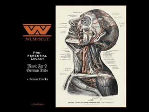 Wumpscut - Sag Warum