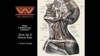 Wumpscut - Sag Warum