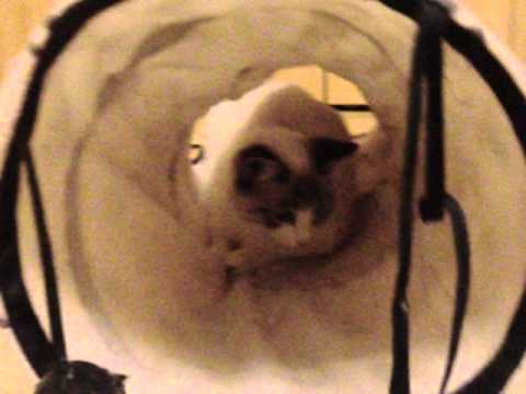 Mariluz + Ventisca 2